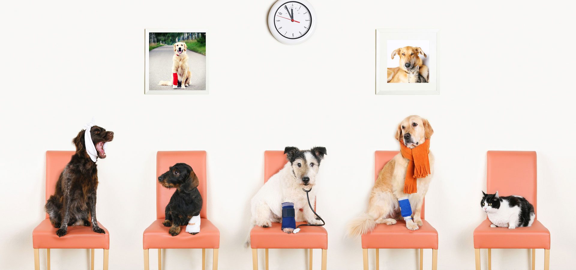 iStock-163171774