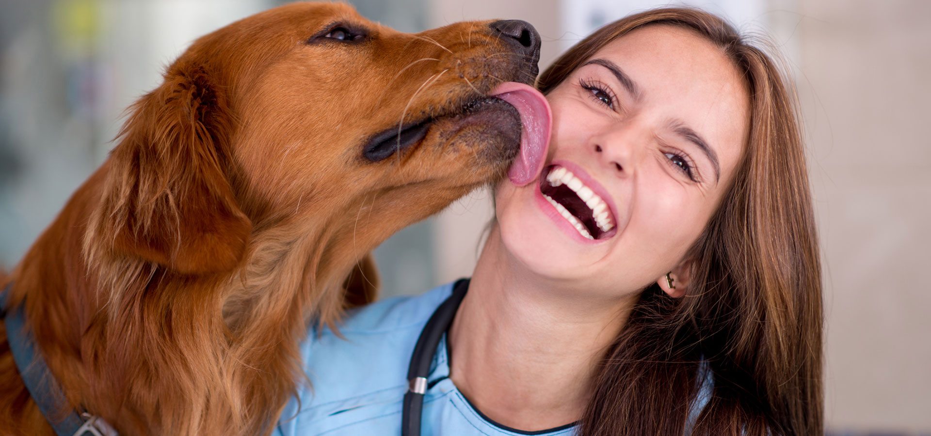 iStock-520916033
