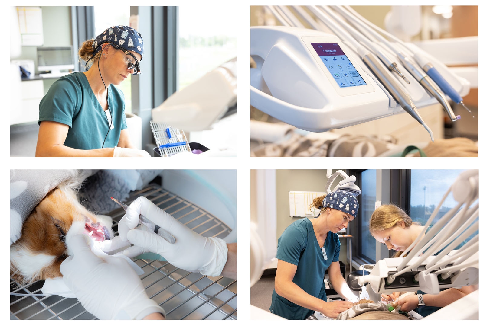 asker-dyreklinikk-situasjonsbilder-2024-18